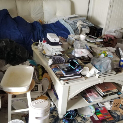 Naples Florida hoarding services, cleanup